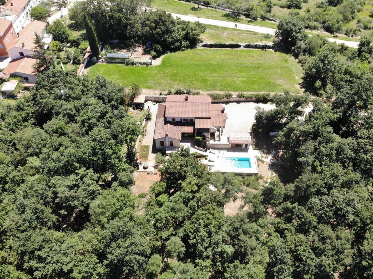 Villa Volpija Buje Buitenkant foto
